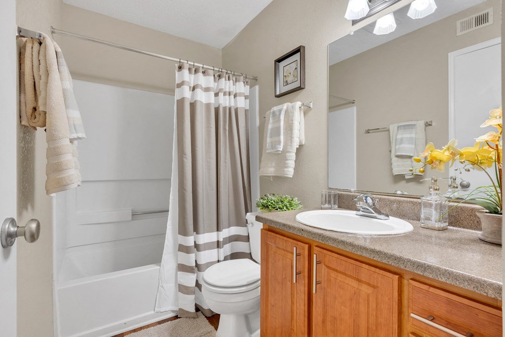 a bathroom with a sink and a toilet and a shower